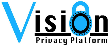 The VISION project