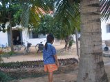 img130.jpeg.small.jpeg