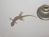 img146.jpeg.small.jpeg