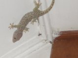 img147.jpeg.small.jpeg