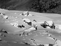 IMG_1307-2