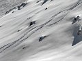 IMG_1361-2