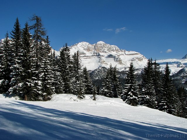 IMG_1678-2.jpg