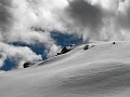 IMG_1229-3