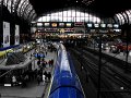 IMG_0240-2