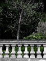 IMG_1963-2