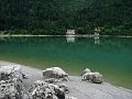IMG_4730-2