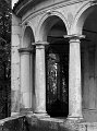 IMG_2223-2