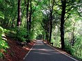 IMG_2293-2