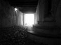 IMG_2336-2