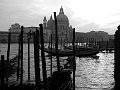 IMG_2785-2 