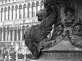 IMG_2821-2 