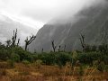 IMG_6106-2