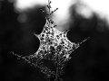 IMG_5926-2
