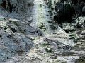 IMG_6479-2